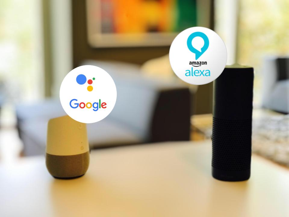 Google Home and Alexa